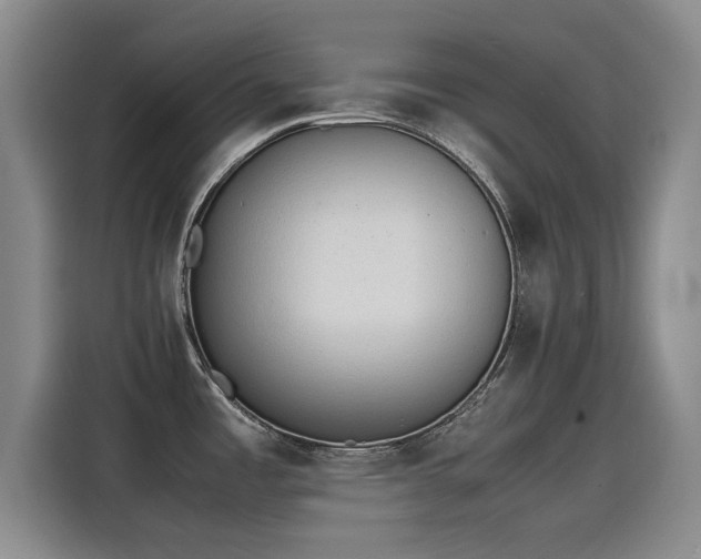 X0000115641485200911171412