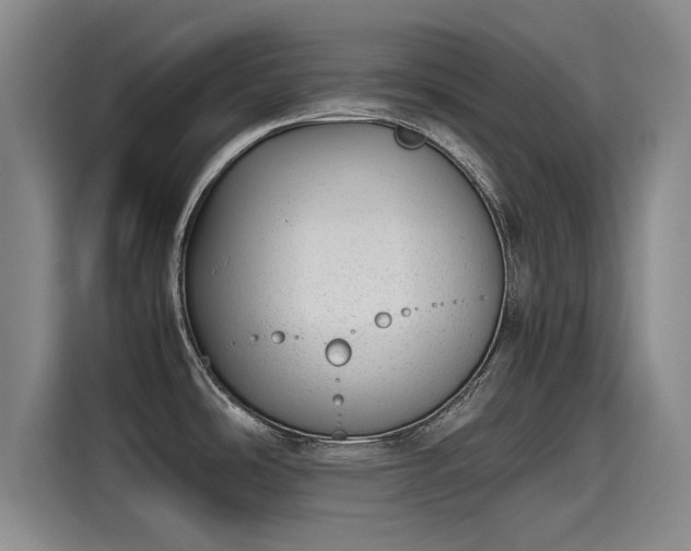 X0000115641486200911171412
