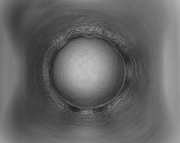 X0000115641489200911171411