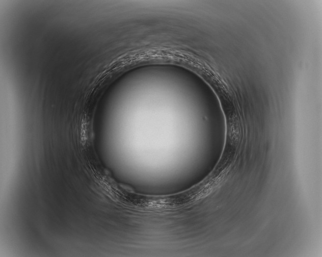 X0000115641490200911171411