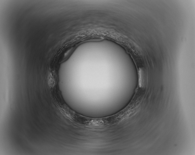 X0000115641491200911171411