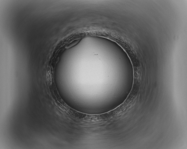 X0000115641493200911171411
