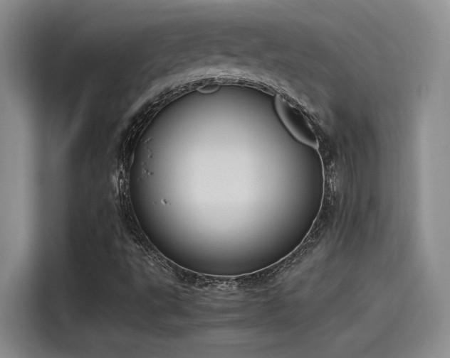 X0000115641495200911171411