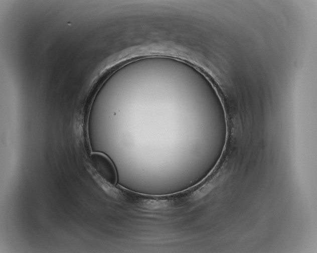 X0000115641499200911171411
