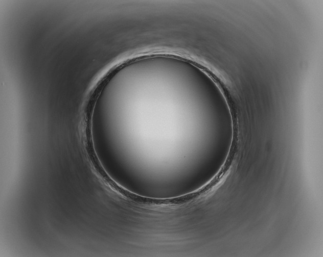 X0000115641502200911171412