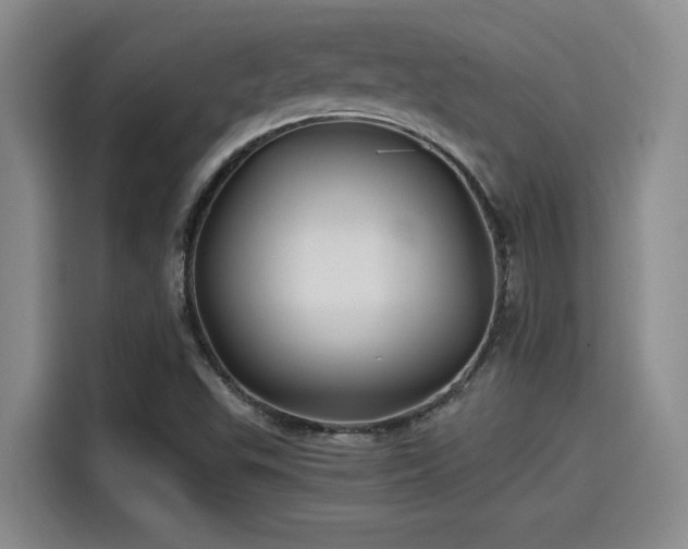 X0000115641503200911171412