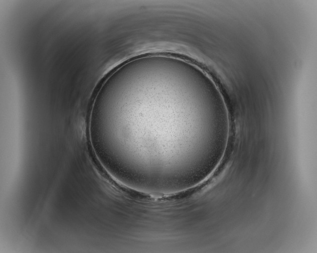 X0000115641505200911171412