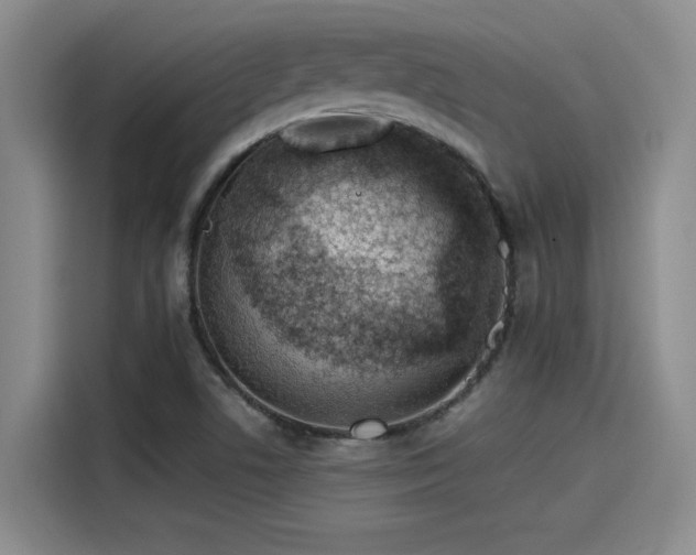 X0000115641506200911171412