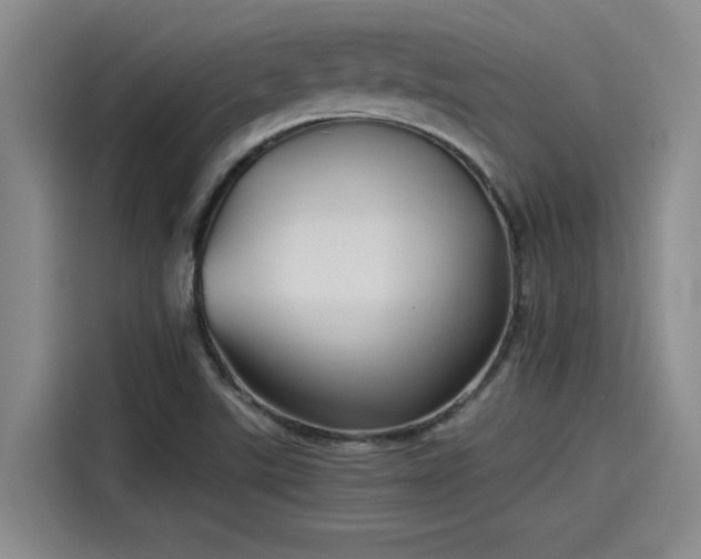 X0000115641507200911171412