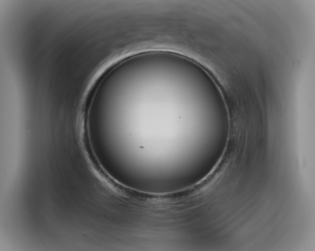 X0000115641511200911171412