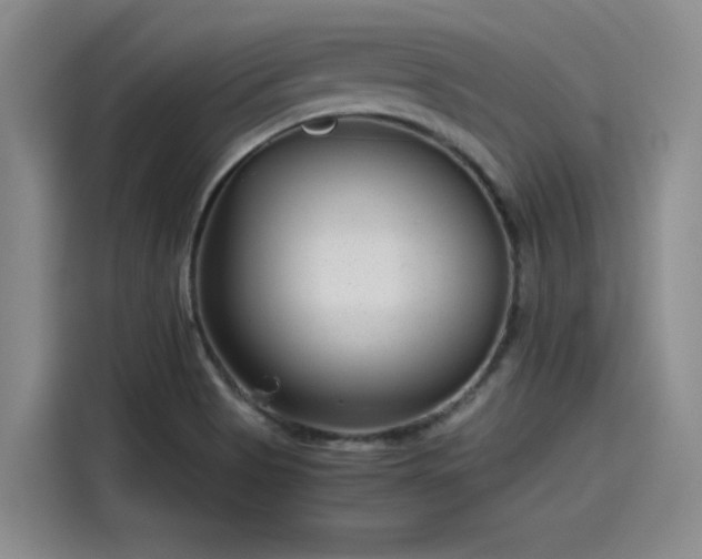 X0000115641513200911171412