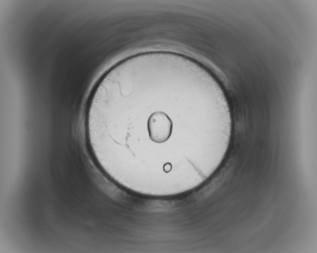 X0000115641514200911171412