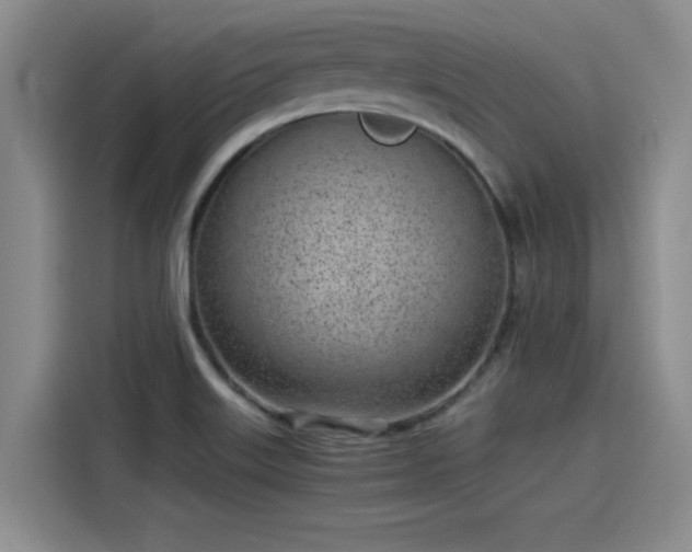 X0000115641515200911171412