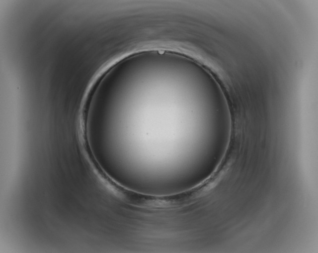 X0000115641517200911171412