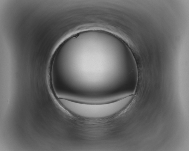 X0000115641518200911171412