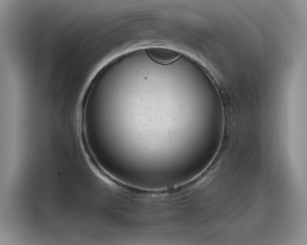 X0000115641519200911171412
