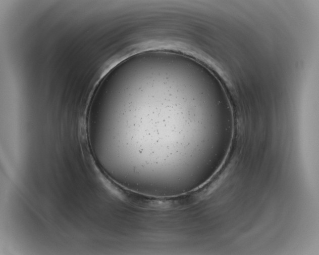 X0000115641521200911171412