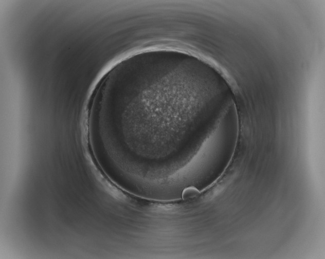 X0000115641522200911171412