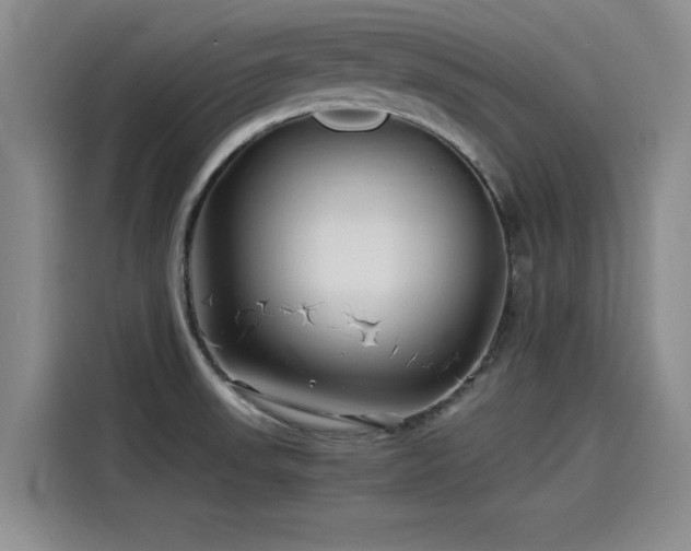 X0000115641523200911171412