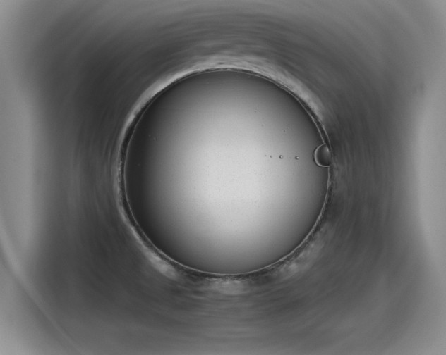 X0000115641525200911171412