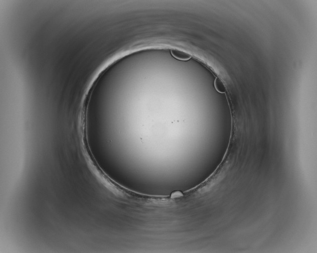 X0000115641526200911171412
