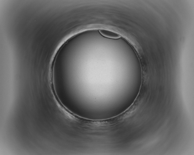 X0000115641527200911171412