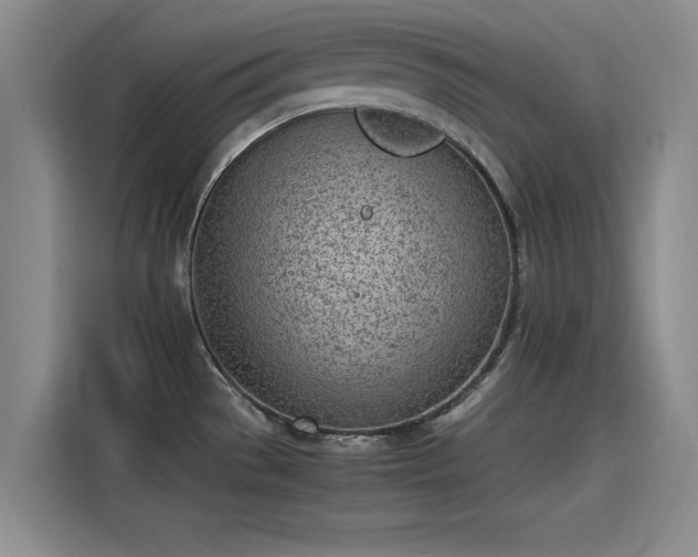 X0000115641529200911171412