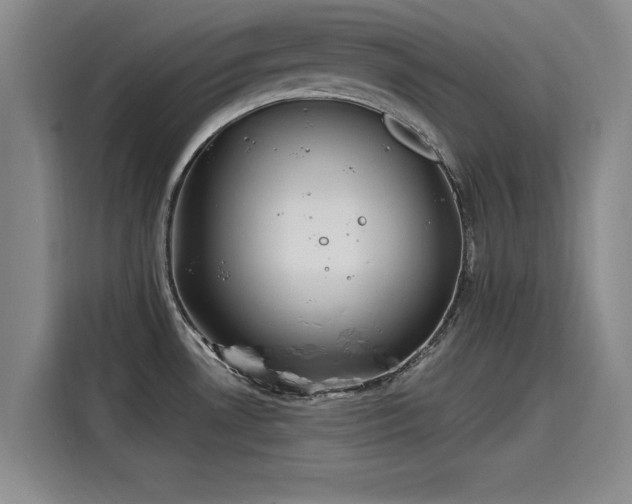 X0000115641530200911171412