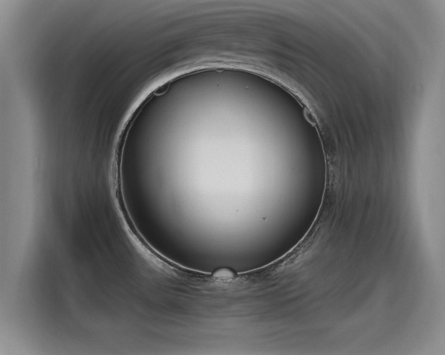 X0000115641531200911171412