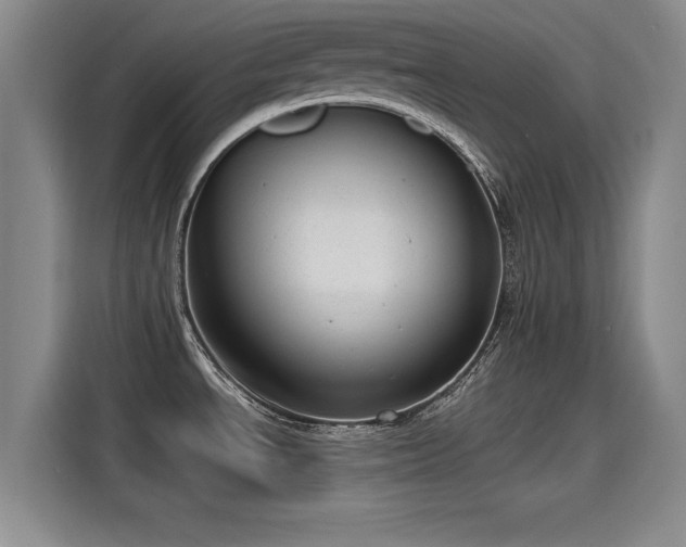 X0000115641534200911171412
