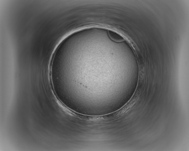 X0000115641535200911171412