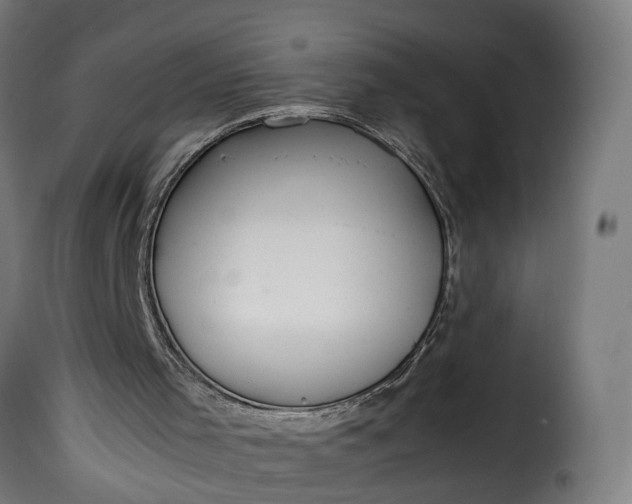 X0000115640001200911241722