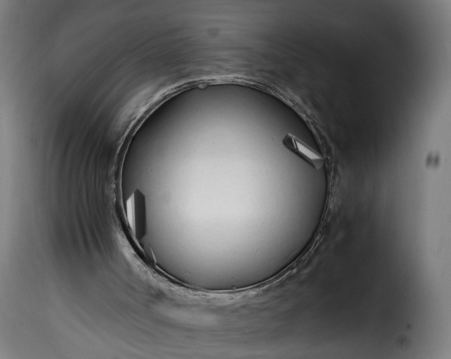 X0000115640002200911241722