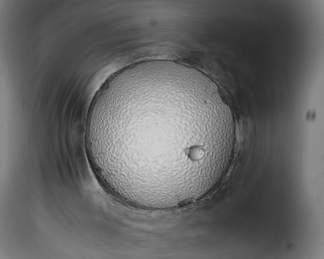 X0000115640003200911241722