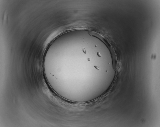 X0000115640004200911241722