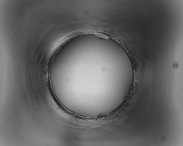 X0000115640005200911241722