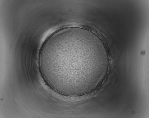 X0000115640006200911241722