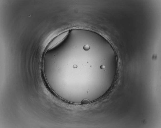 X0000115640007200911241722