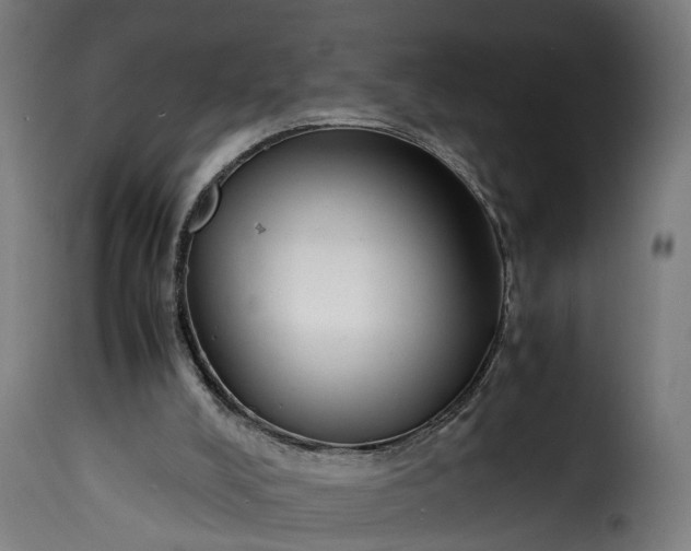 X0000115640008200911241722