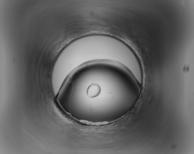 X0000115640009200911241722