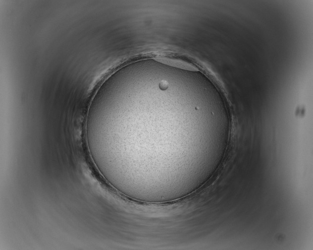 X0000115640010200911241722