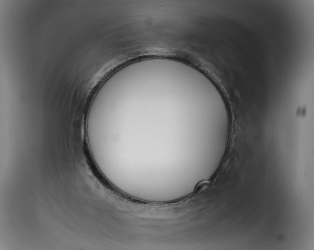 X0000115640011200911241722