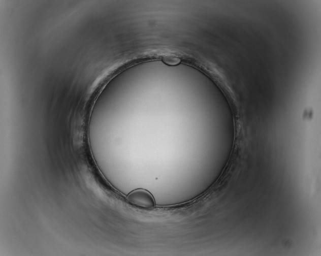 X0000115640012200911241722