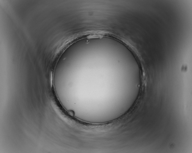 X0000115640013200911241722