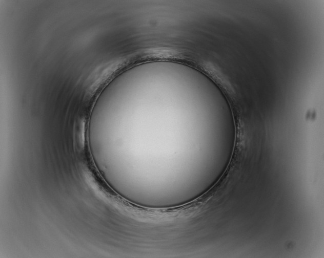 X0000115640014200911241722