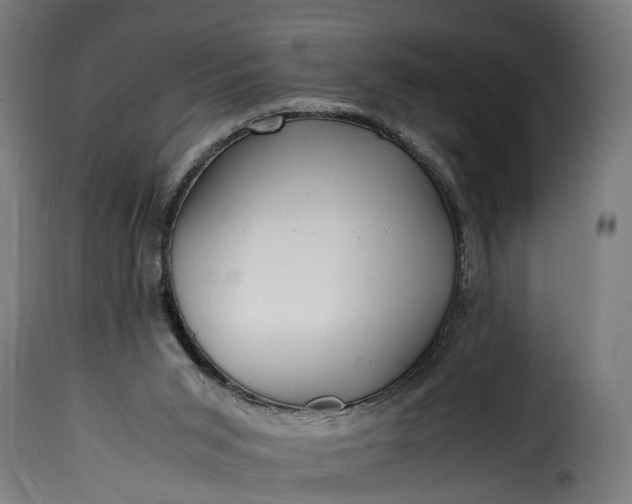 X0000115640015200911241722