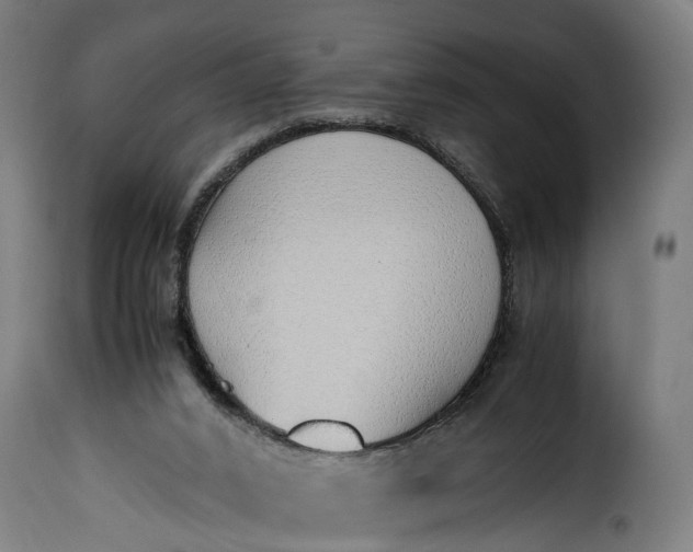 X0000115640016200911241722