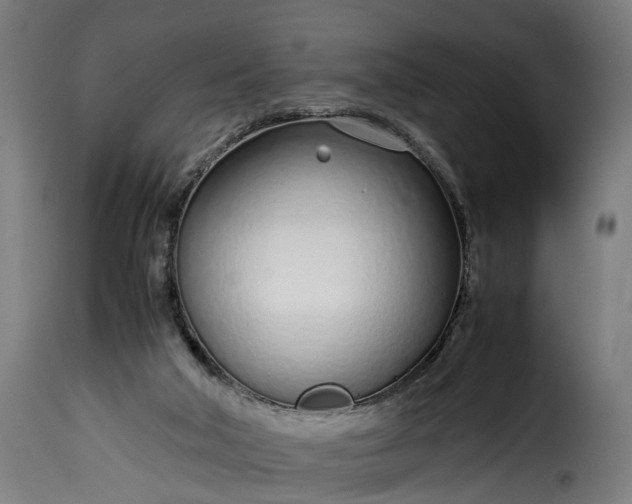 X0000115640018200911241722