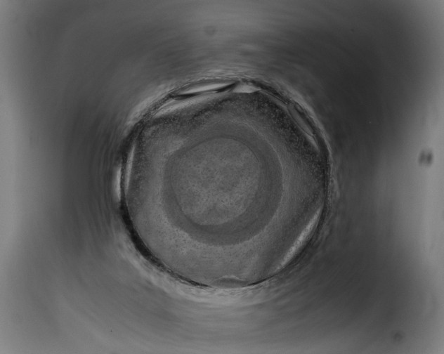 X0000115640019200911241722