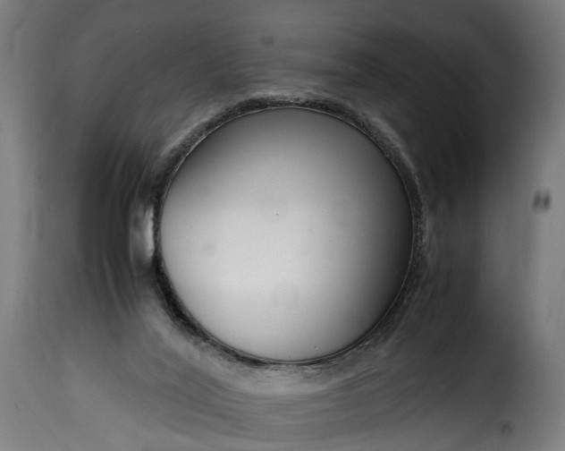 X0000115640020200911241722